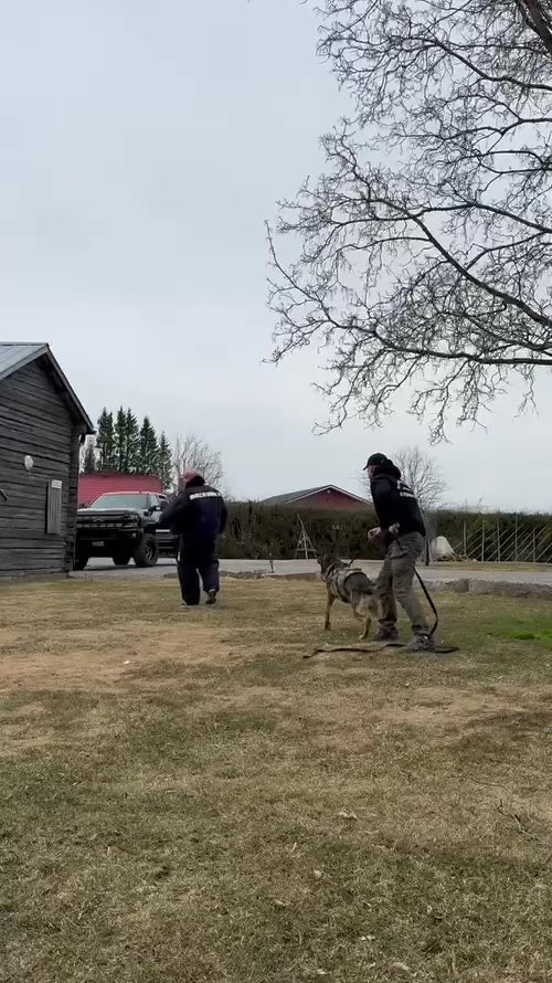 Bravo K9:n puru kokopukuun / hihaan